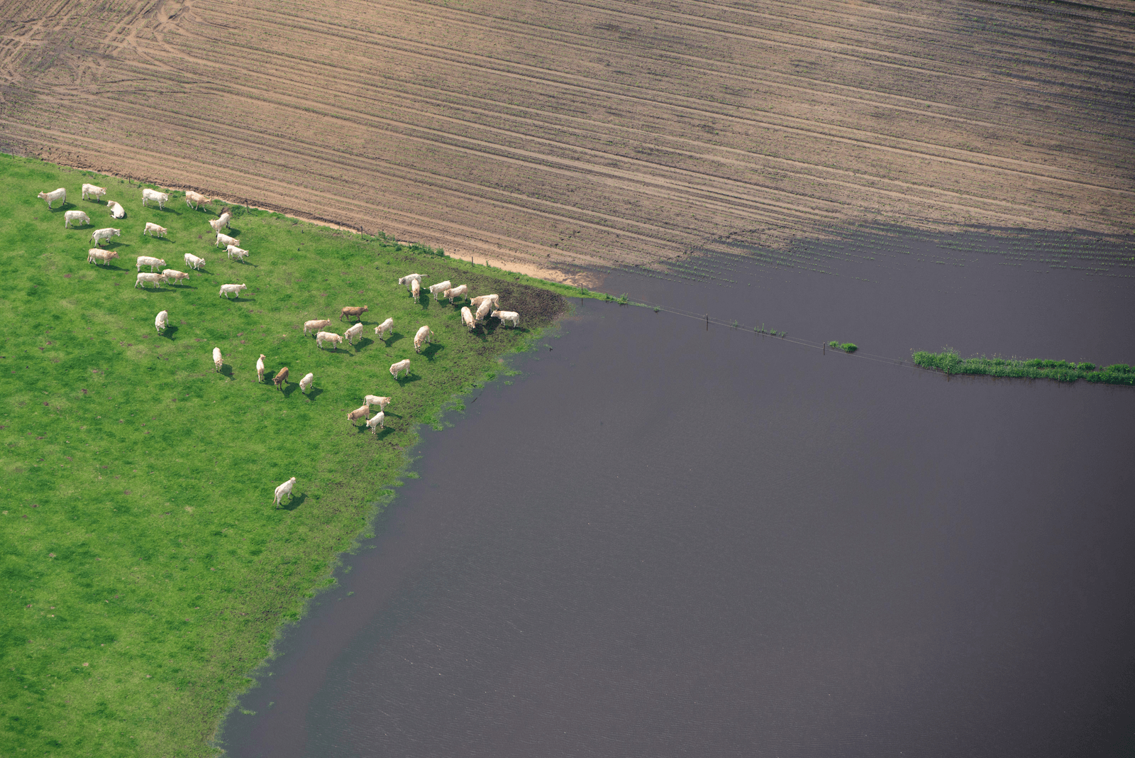 Nattigheid past in klimaatverandering - Foto: ANP