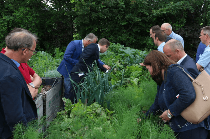 Foto's: Anton Dingemanse