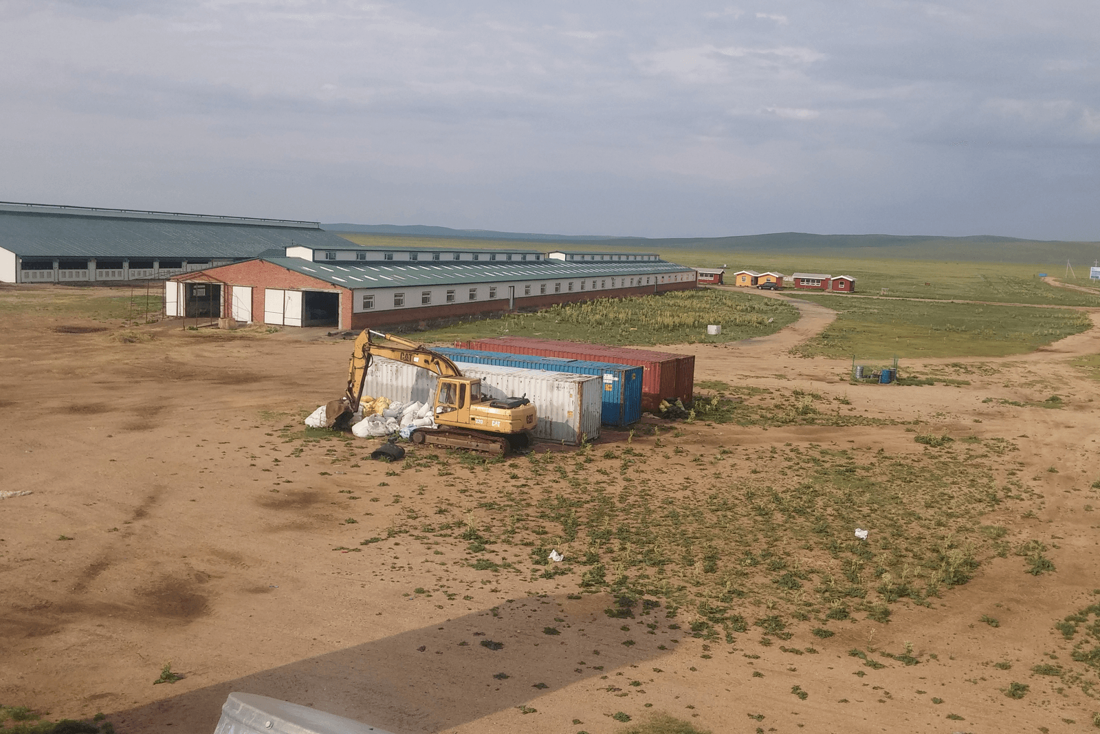 'Melken in Mongolië: taalproblemen'. - Foto: Albert Boersen