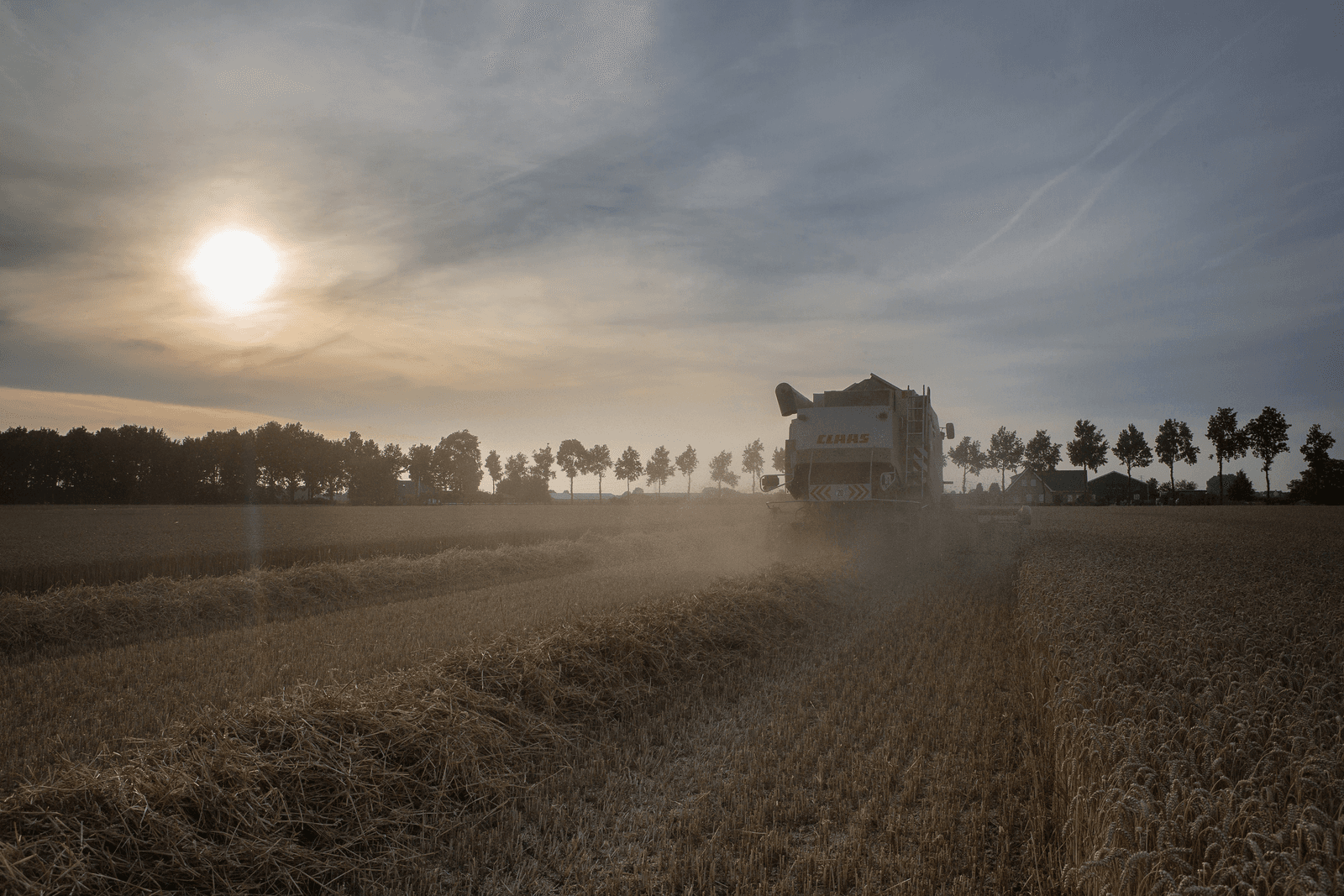Sterk gegroeid Duits akkerbouw- en bioenergieconcern KTG Agrar sust beleggerszorgen. - Foto: Peter Roek