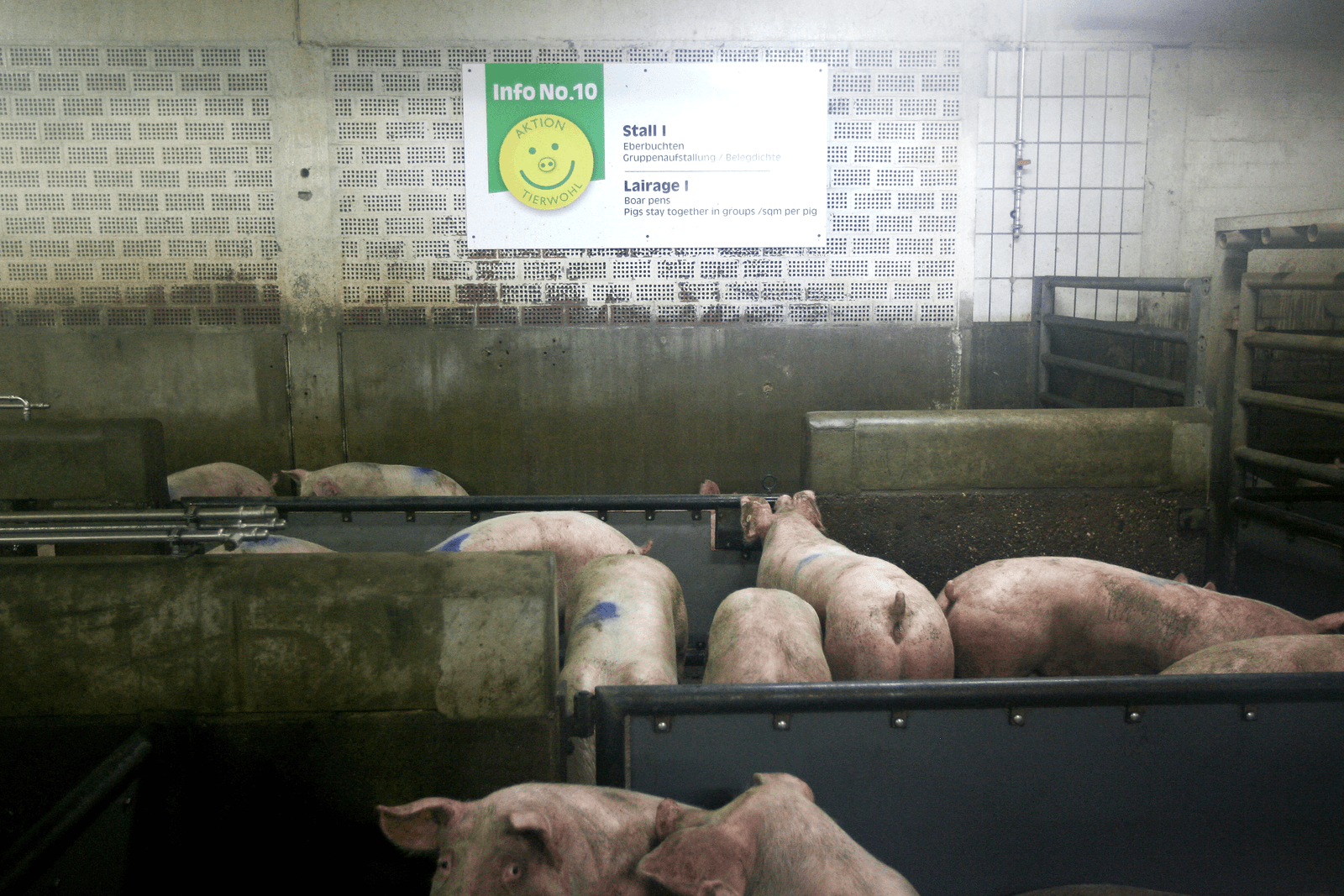 Foto: Ronald Hissink