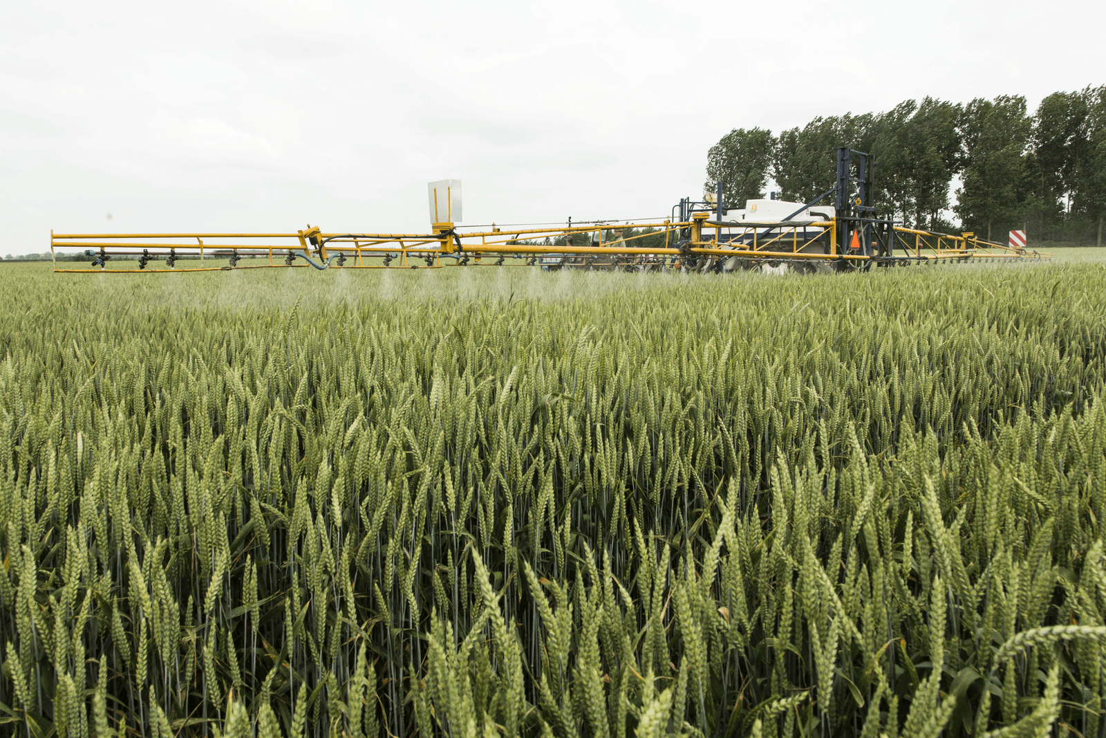 Foto: Koos Groenewold