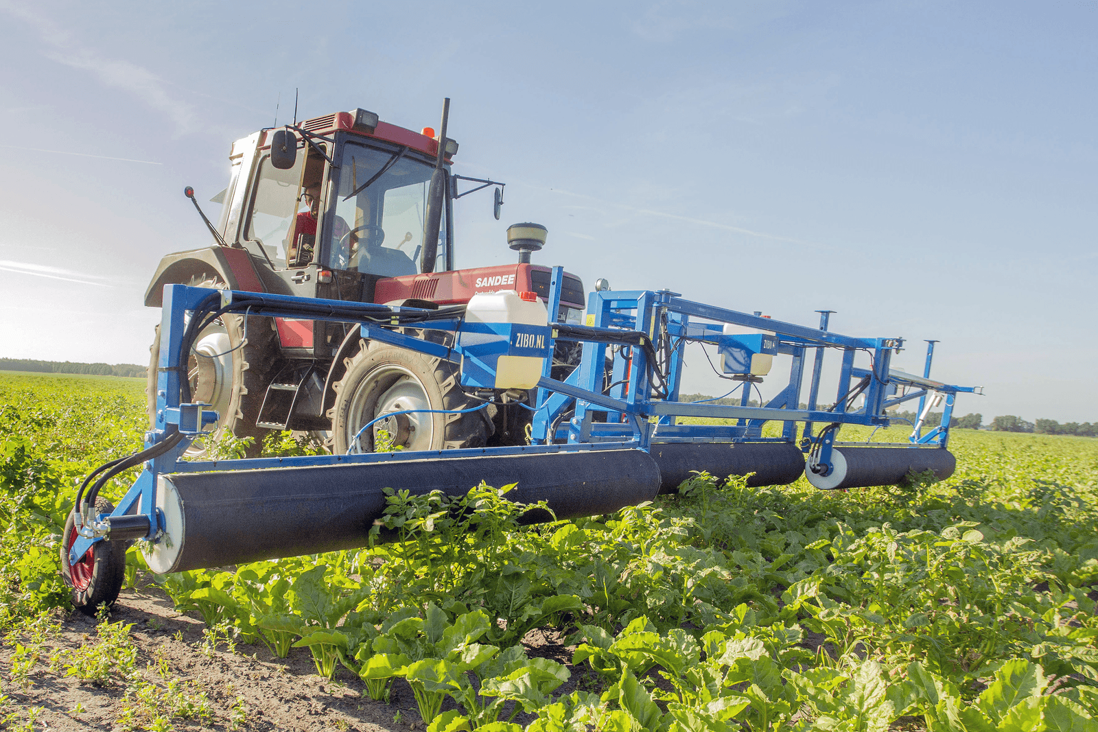 Glyfosaatdiscussie is voorbode voor discussie over andere middelen - Foto: Koos van der Spek