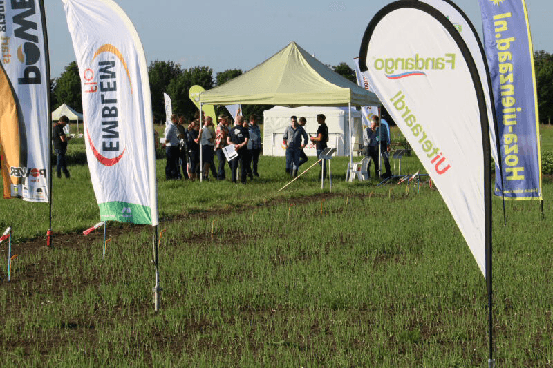 Foto's: Anton Dingemanse