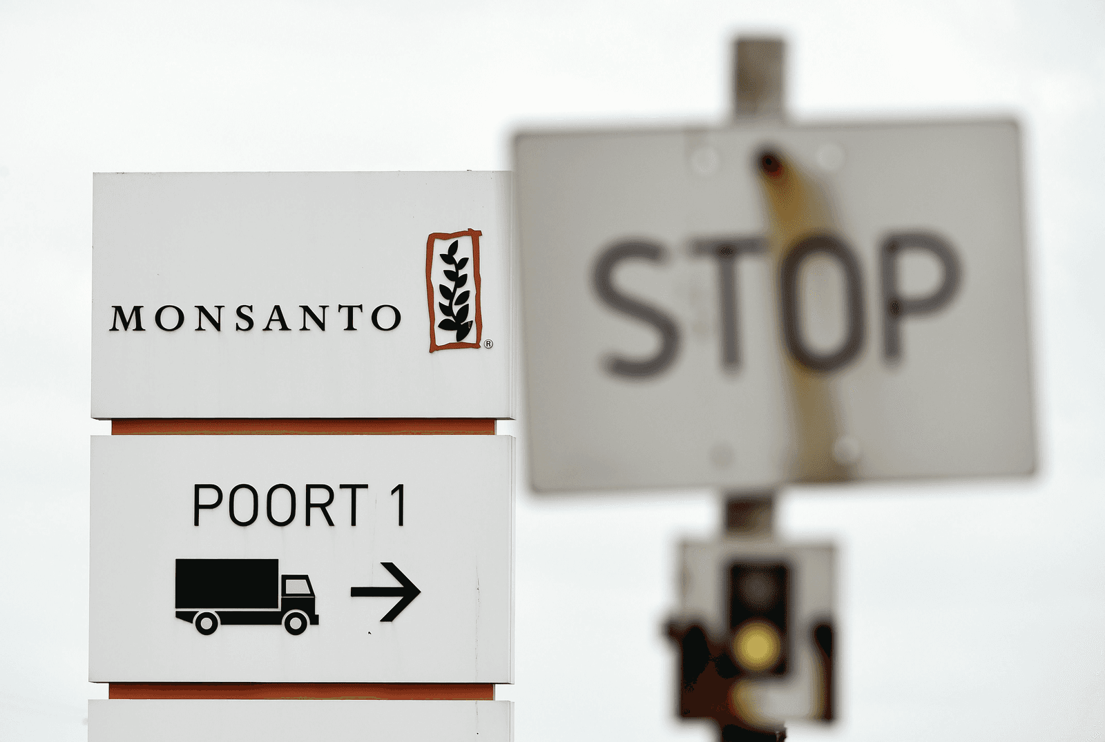 Monsanto houdt Bayer af - Foto: ANP