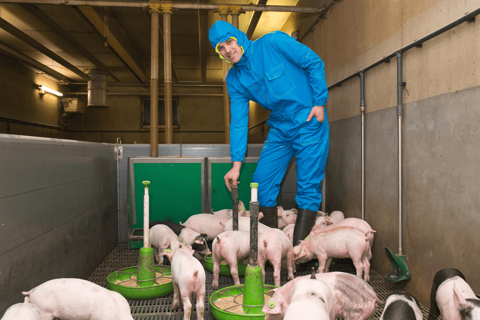Anne Groot Zevert in Beltrum ontwierp de Farmsuit. Een geurwerende overall die penetrante varkensgeuren weghoudt bij onderkleding, huid en haar. Handig voor wie kort in de stal moet zijn. - Foto: ForFarmers