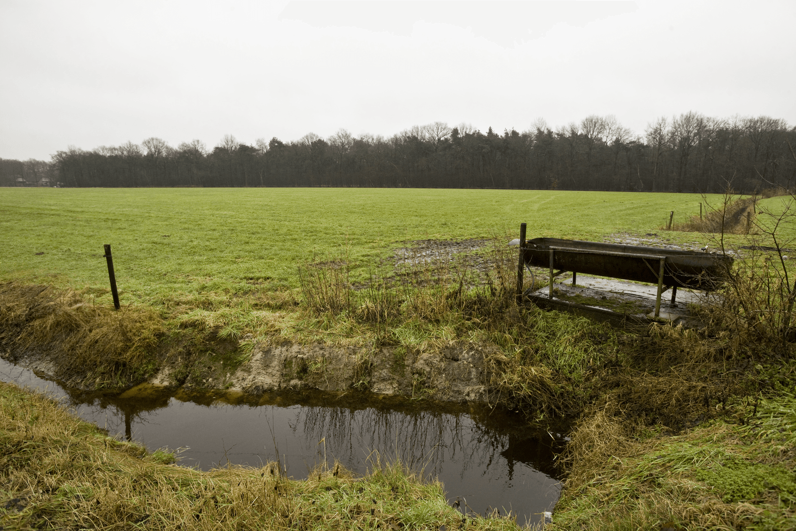 Kamer: vrijstelling bemesten en beweiden landelijk regelen. - Foto: Koos Groenewold