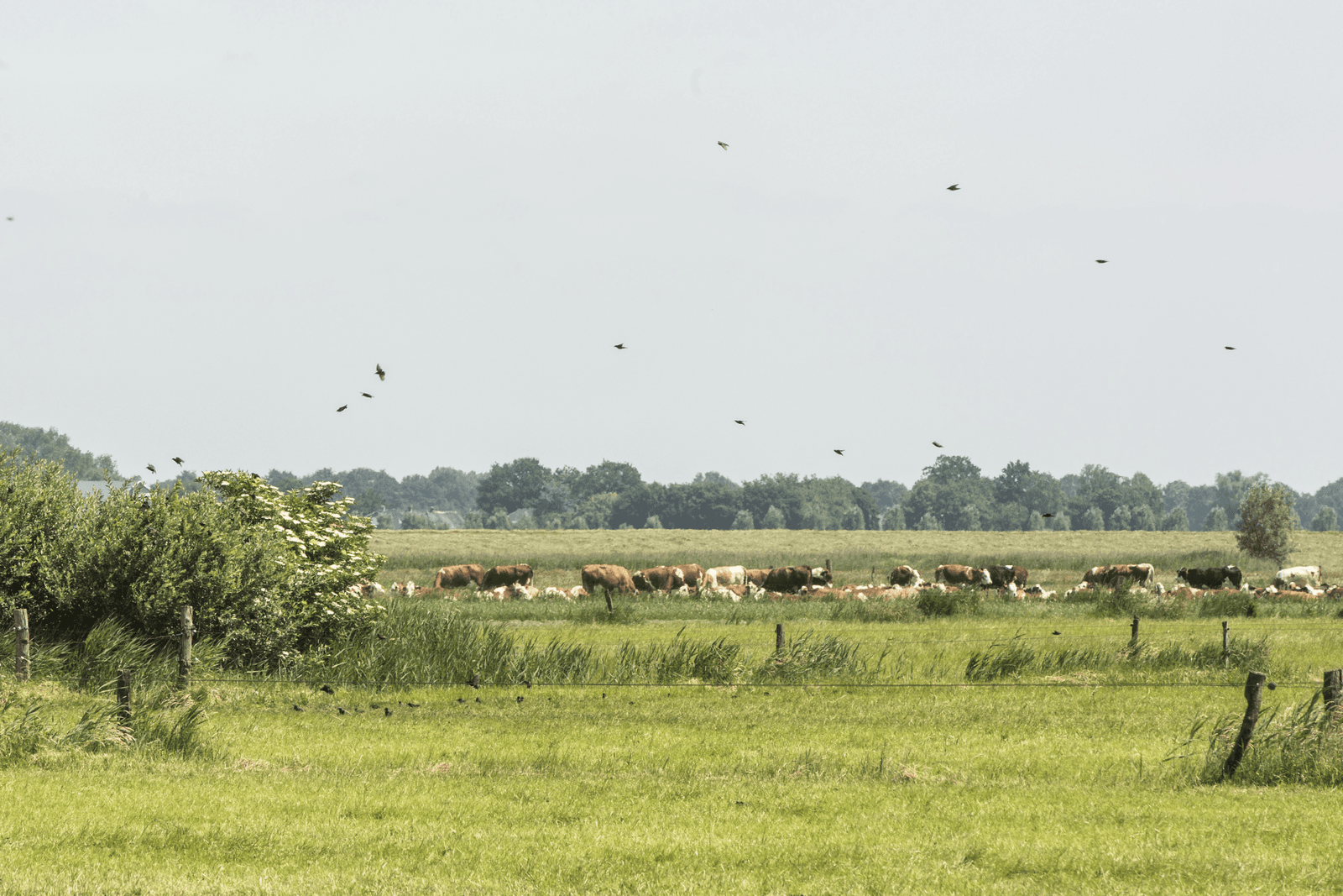 'Internationale aandacht voor recht op grond nodig' - Foto: Koos Groenewold