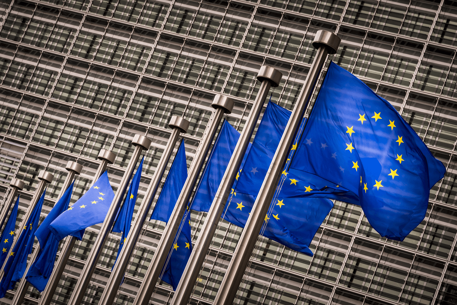 EU-commissie stelt eisen aan hormoonverstorende stof. - Foto: ANP