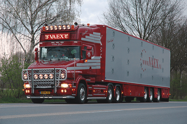Kamer wil veetransport bij hitte niet verbieden. - Foto: Bart Nijs