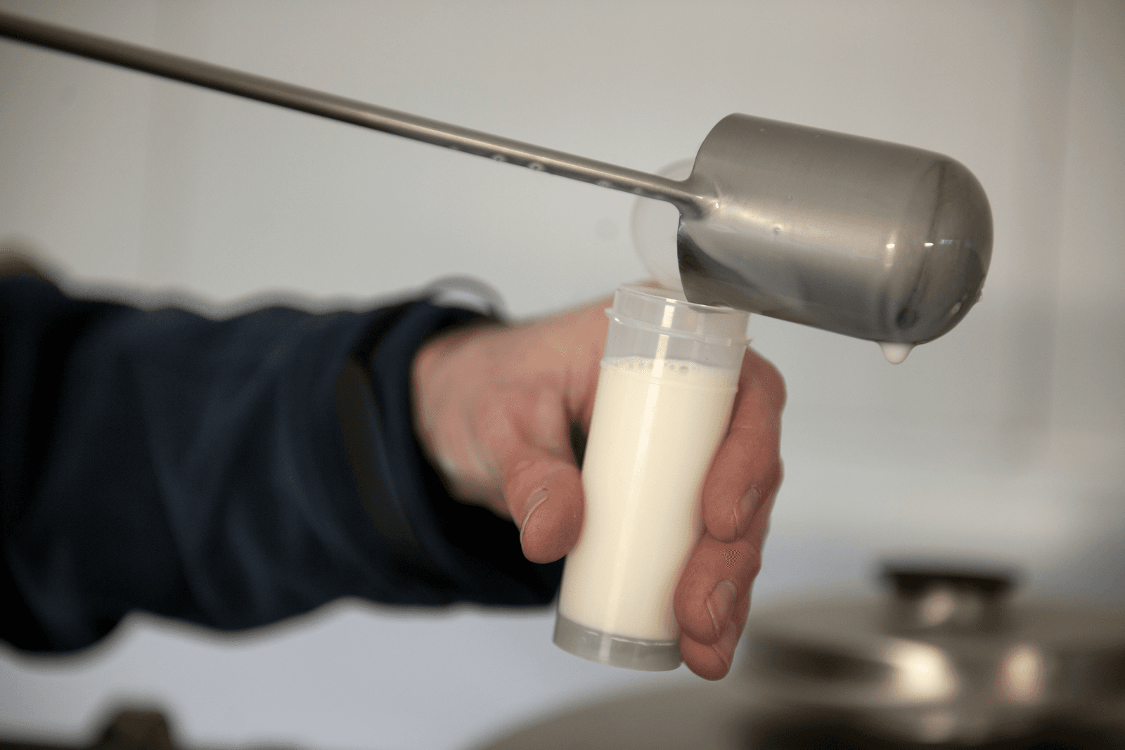 A-ware heeft vanaf 2017 eigen biomelkleveranciers. Foto: Mark Pasveer