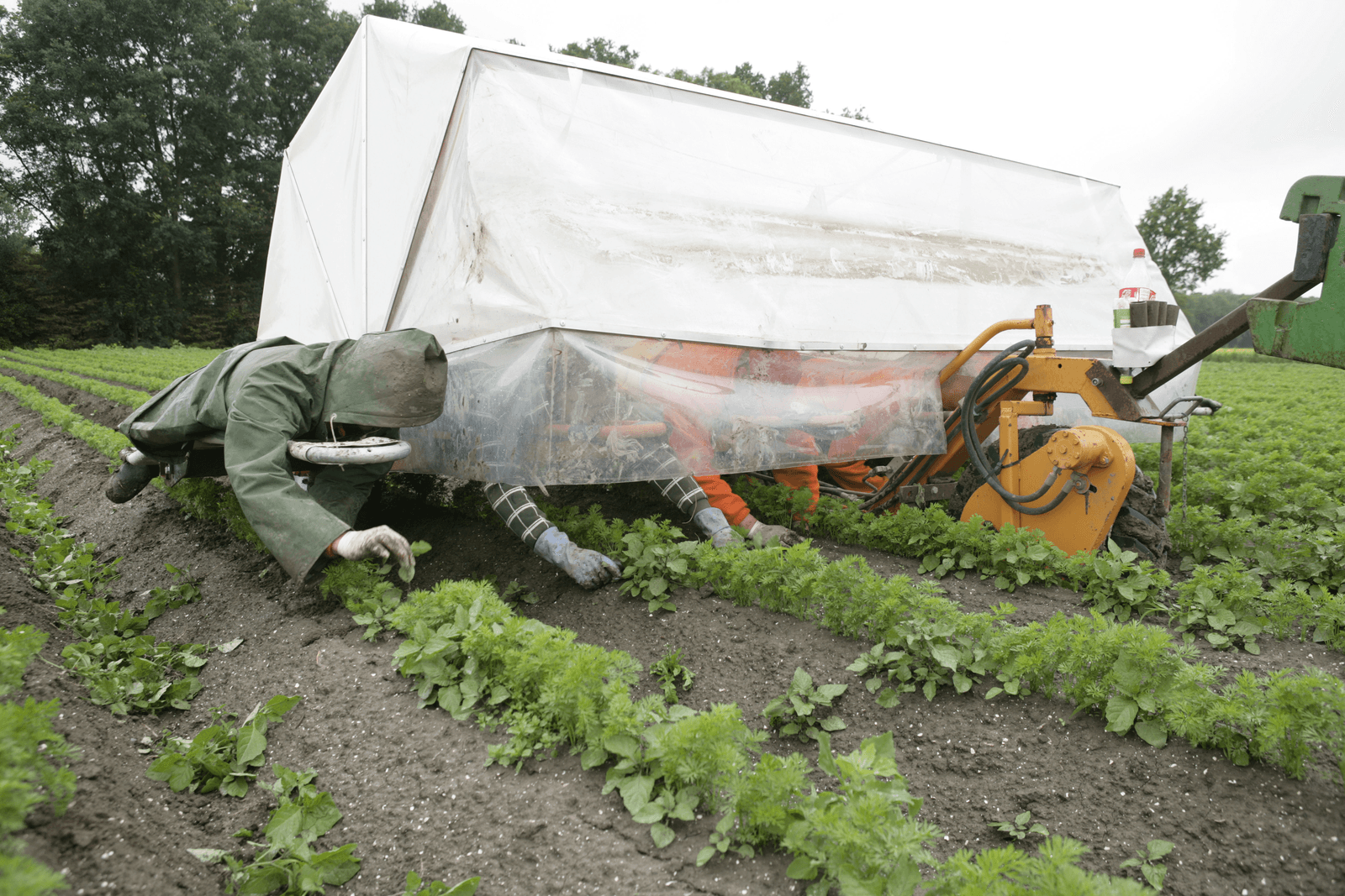 <em>Foto: Jan Willem Schouten</em>