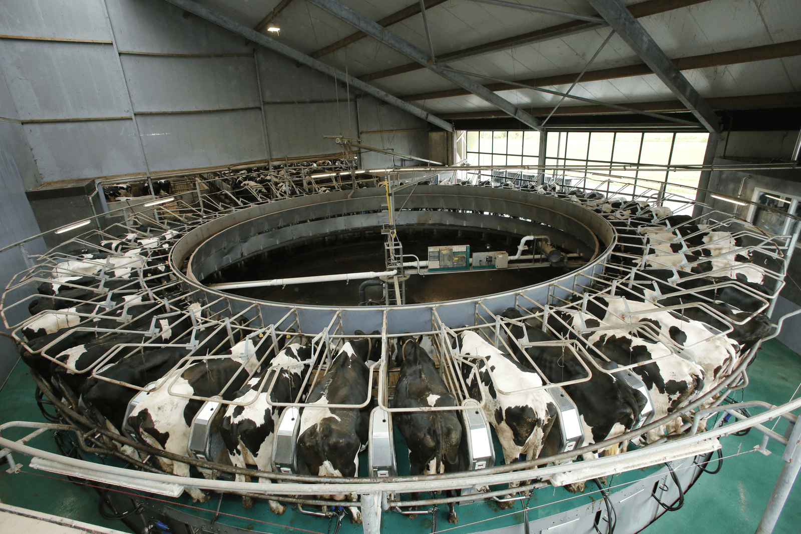 De Boerenbond vraag de EU om onder voorwaarden productiebeperking mogelijk te maken, maar dit mag niet leiden tot een nieuwe vorm van melkquotering.</p> <p><em>Foto: Henk Riswick</em>