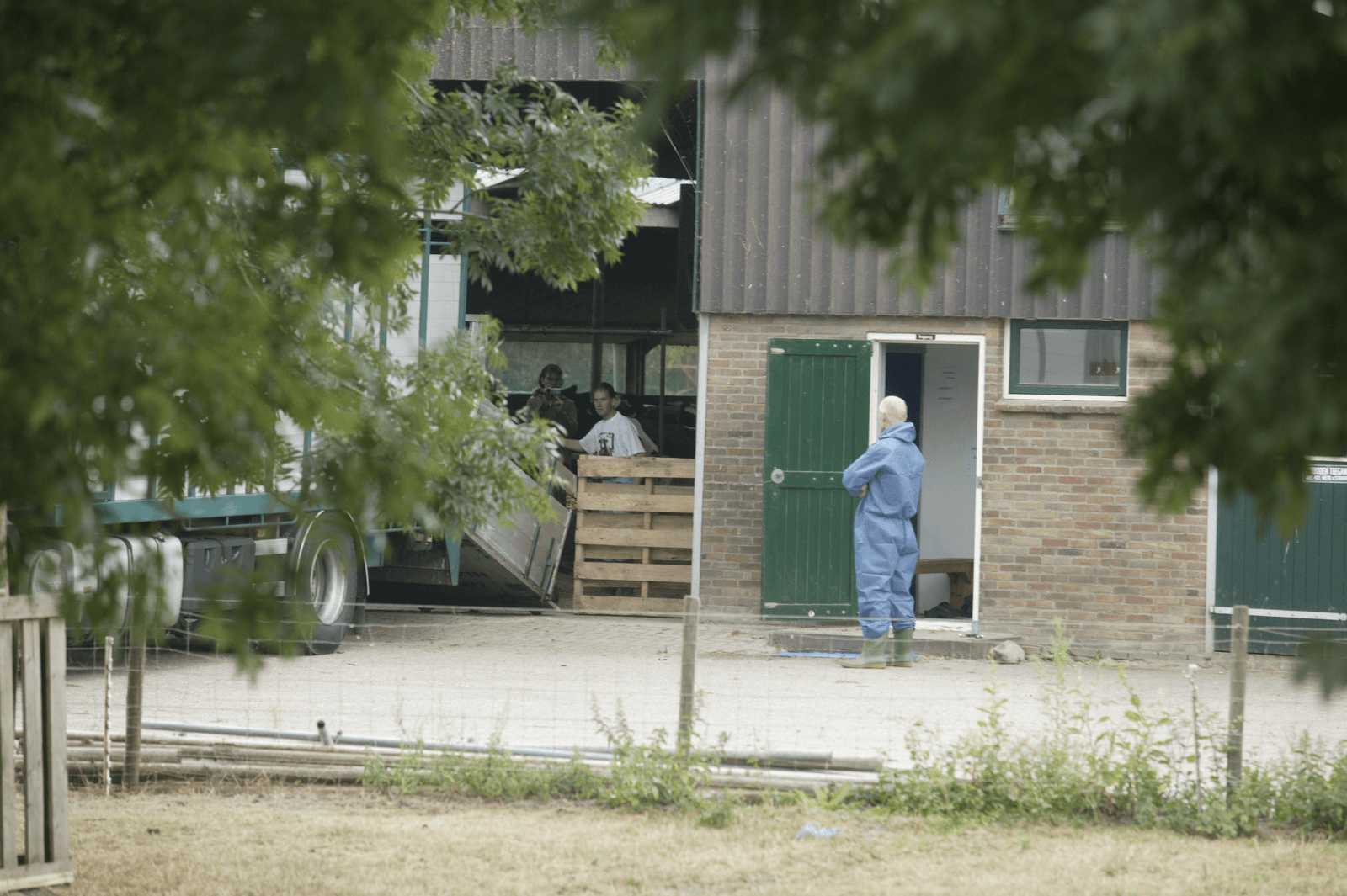 <em>Foto: Mark Pasveer</em>