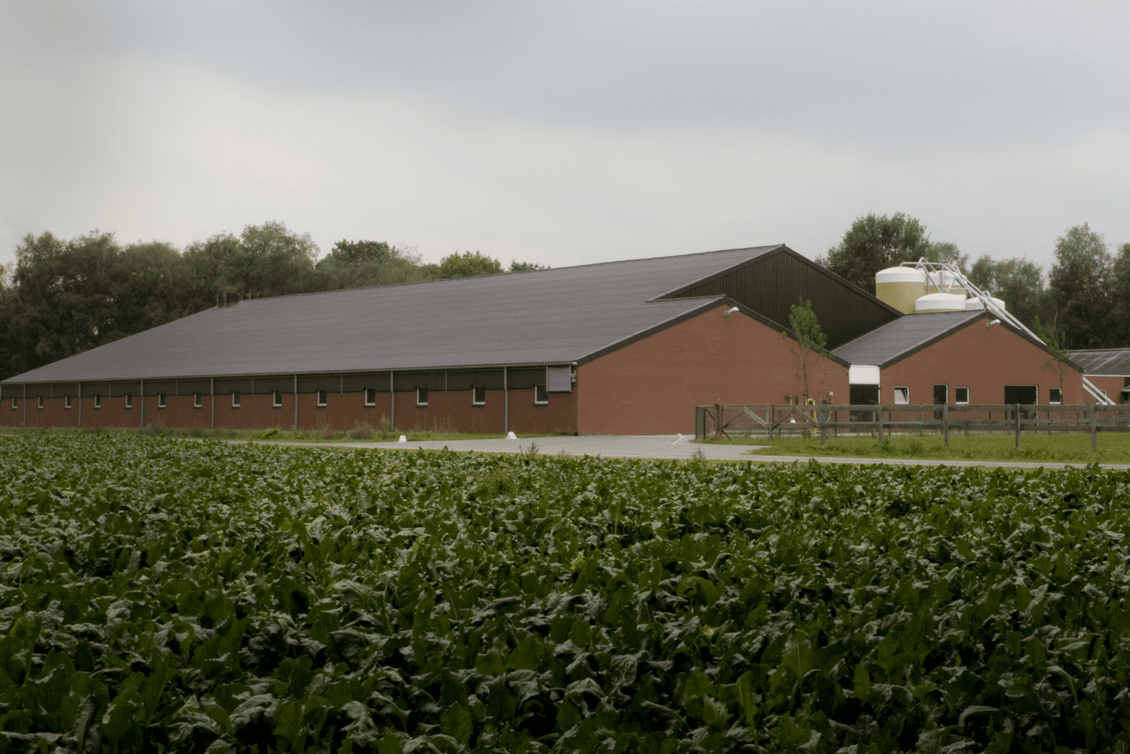 <em>Foto: Bart Nijs</em>