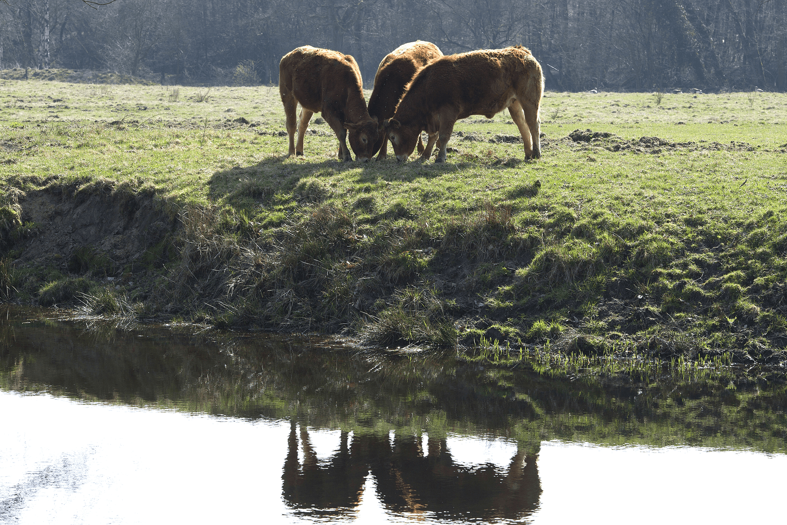 <em>Foto: Marcel van Hoorn</em>