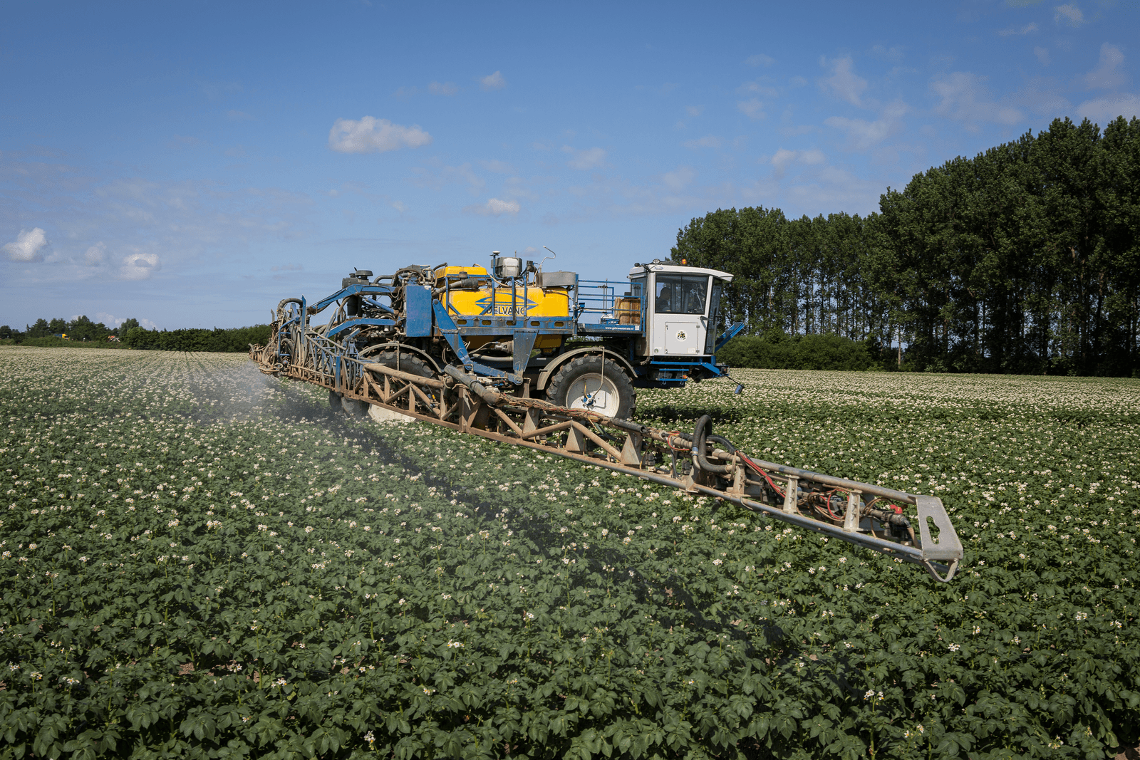 De aardappel behoort tot een van de meest intensief bespoten gewassen in de akkerbouw. Hier valt nog veel te winnen.</p> <p><em>Foto: Peter Roek</em>
