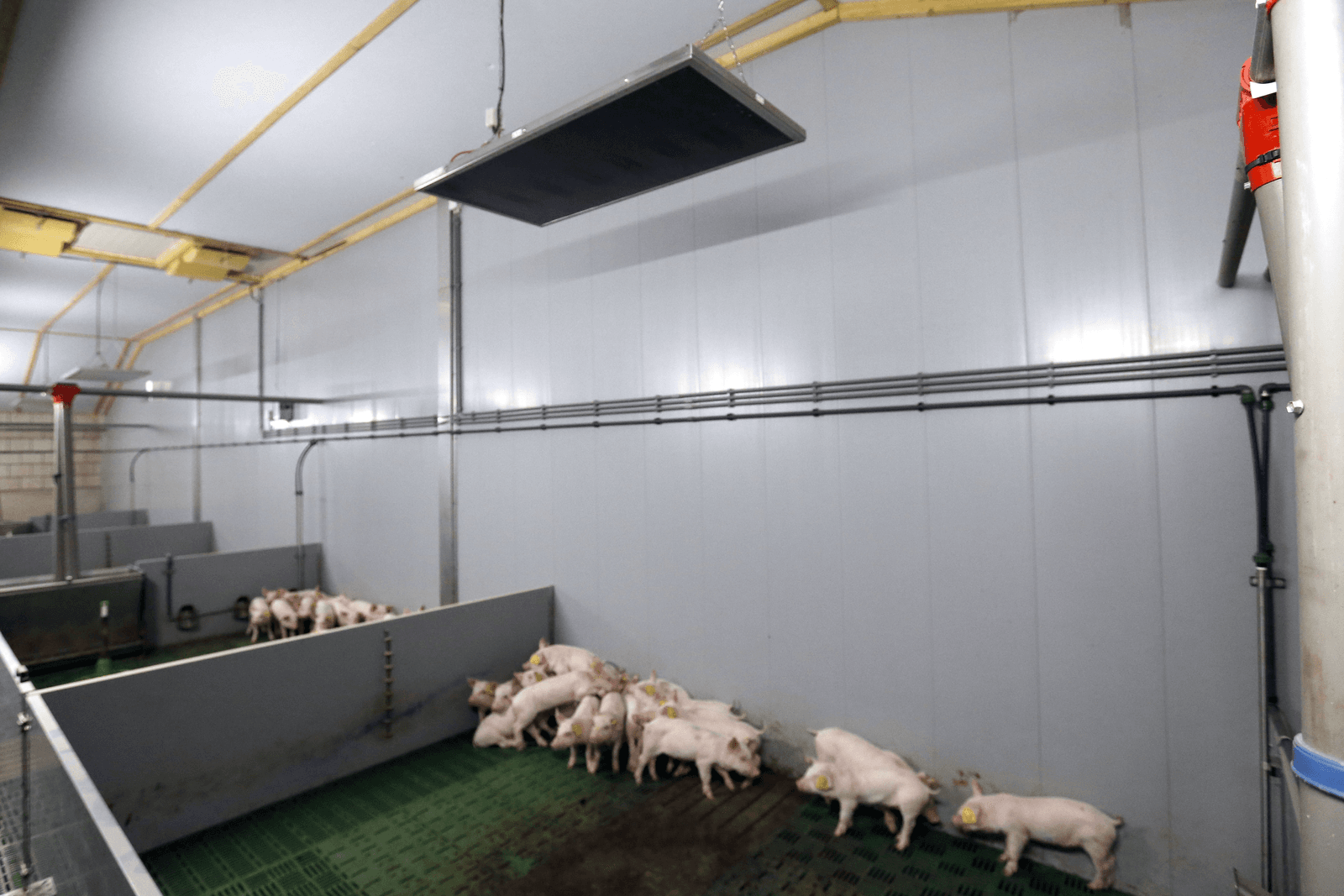 Ventilatie biggenstal moet nog beter