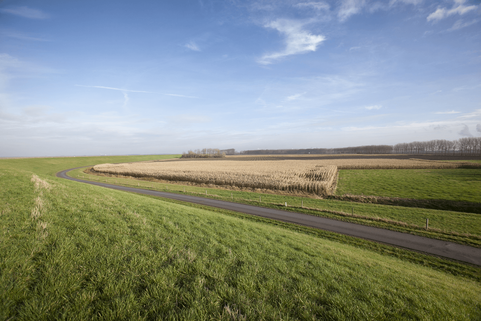 De Hedwigepolder.</p> <p><em>Foto: Roel Dijkstra</em>