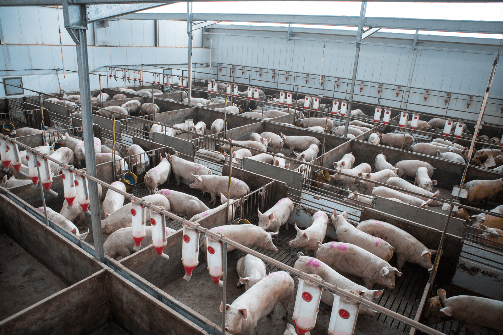 Noodzakelijke investeringen trokken een grote wissel op de reserves.<br /><em>Foto: Peter Roek</em>