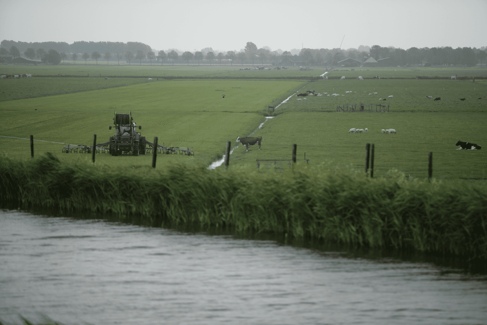 Boeren moeten 'waterbewuster' gaan ondernemen, vindt minister Schultz. Foto: Jan Willem Schouten