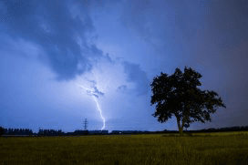 Weer richt in Duitse akkerbouw minstens 40.000 hectare schade aan
