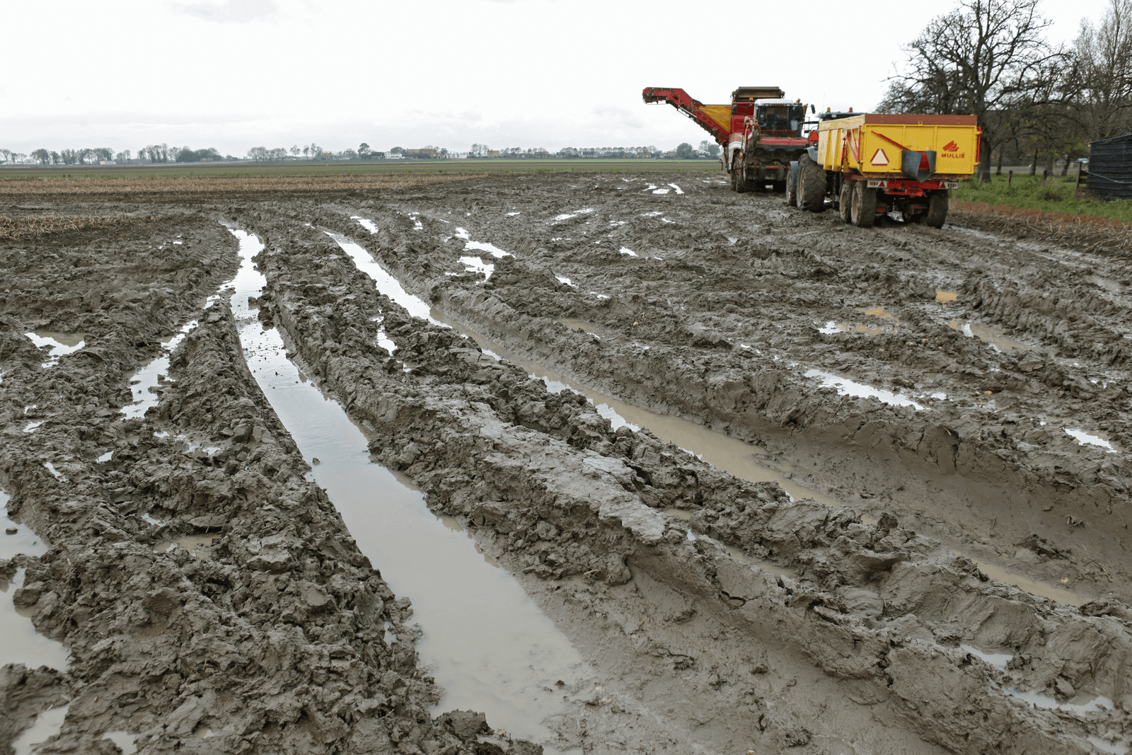 Moeizame oogstwerkzaamheden bij aardappelen, enkele jaren geleden.</p> <p><em>Foto: Jan Willem Schouten</em>