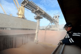 Egypte weigert opnieuw tarwe vanwege een besmetting met de ergotschimmel (moederkoorn). Dit keer gaat het om 40.000 ton tarwe uit Polen en Canada. Foto: ANP