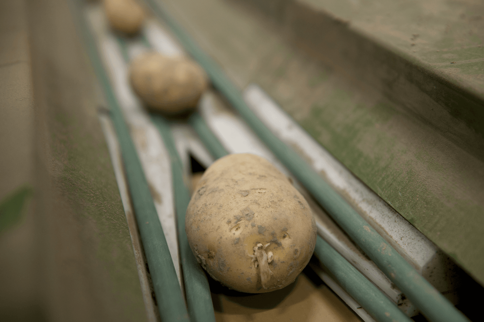 <em>Foto: Mark Pasveer</em>