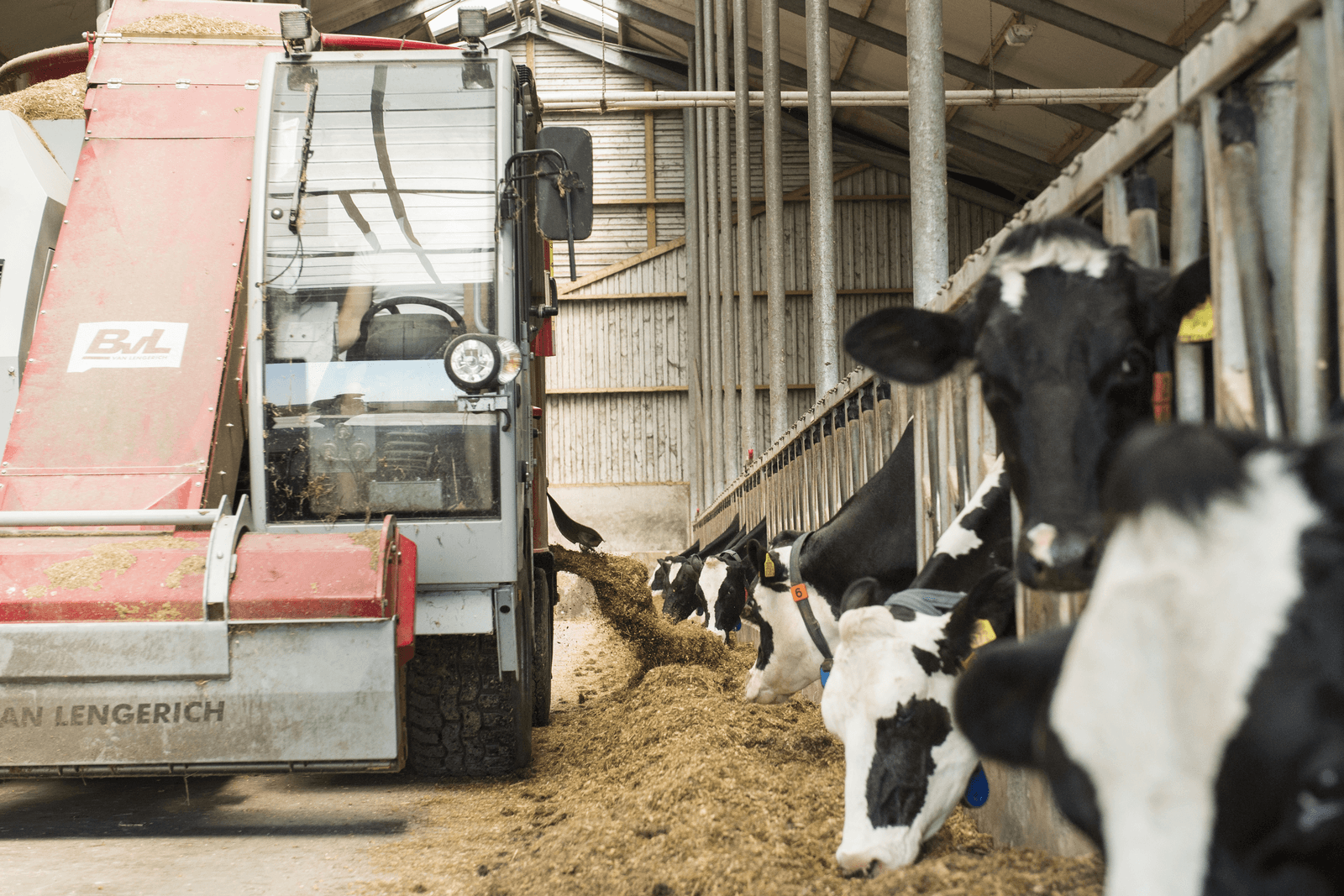 Forfarmers: voeren van vet in het melkveerantsoen is gunstig voor de melkproductie per kilo fosfaat.<br /><em>Foto: Reina de Vries</em>