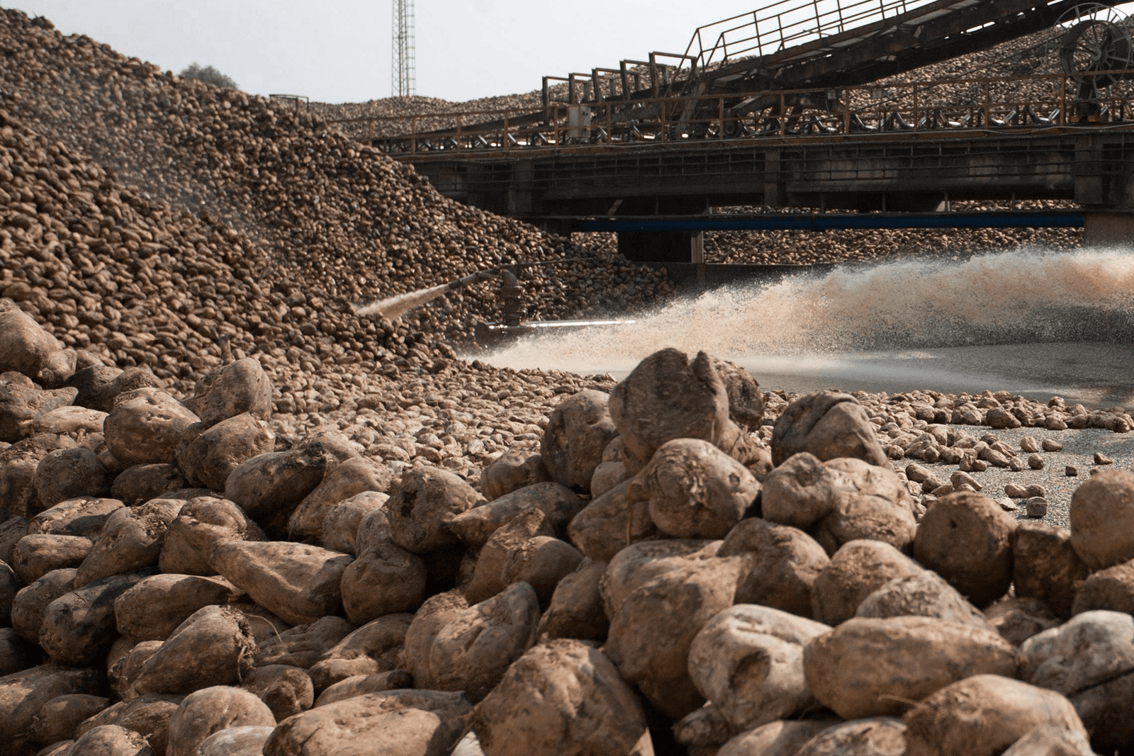 <em>Foto: ANP</em>