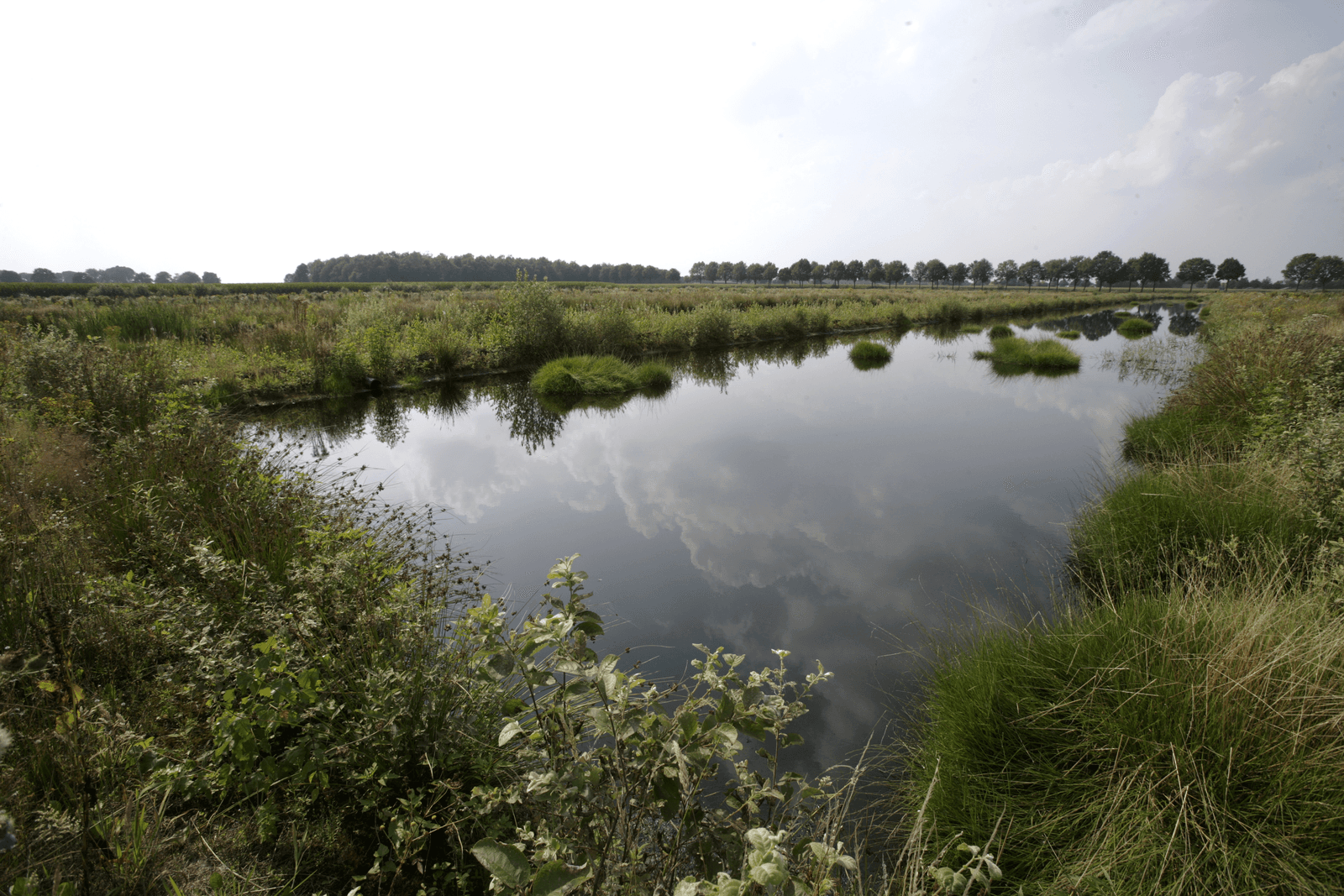 <em>Foto: Michel Zoeter</em>