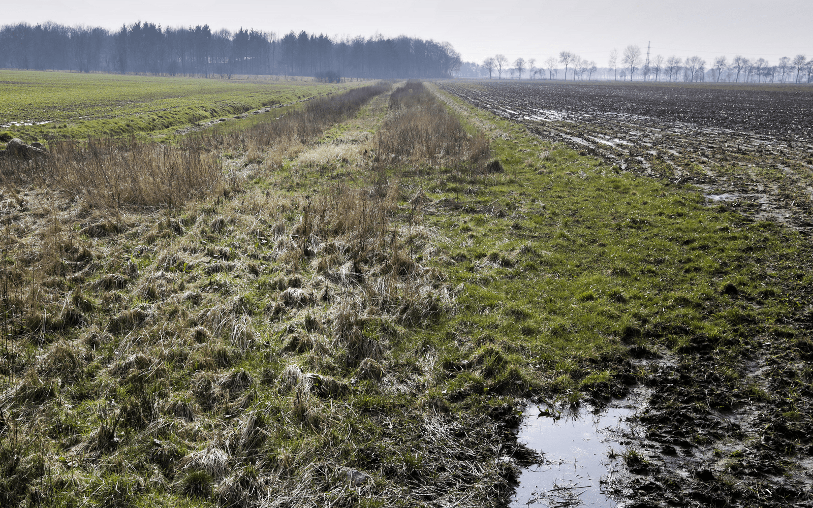 'Stoppen doet al zeer, gedwongen nog meer'
