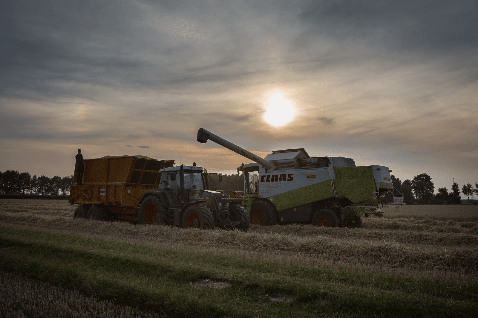 Graanoogst in 2015.</p> <p><em>Foto: Peter Roek</em>