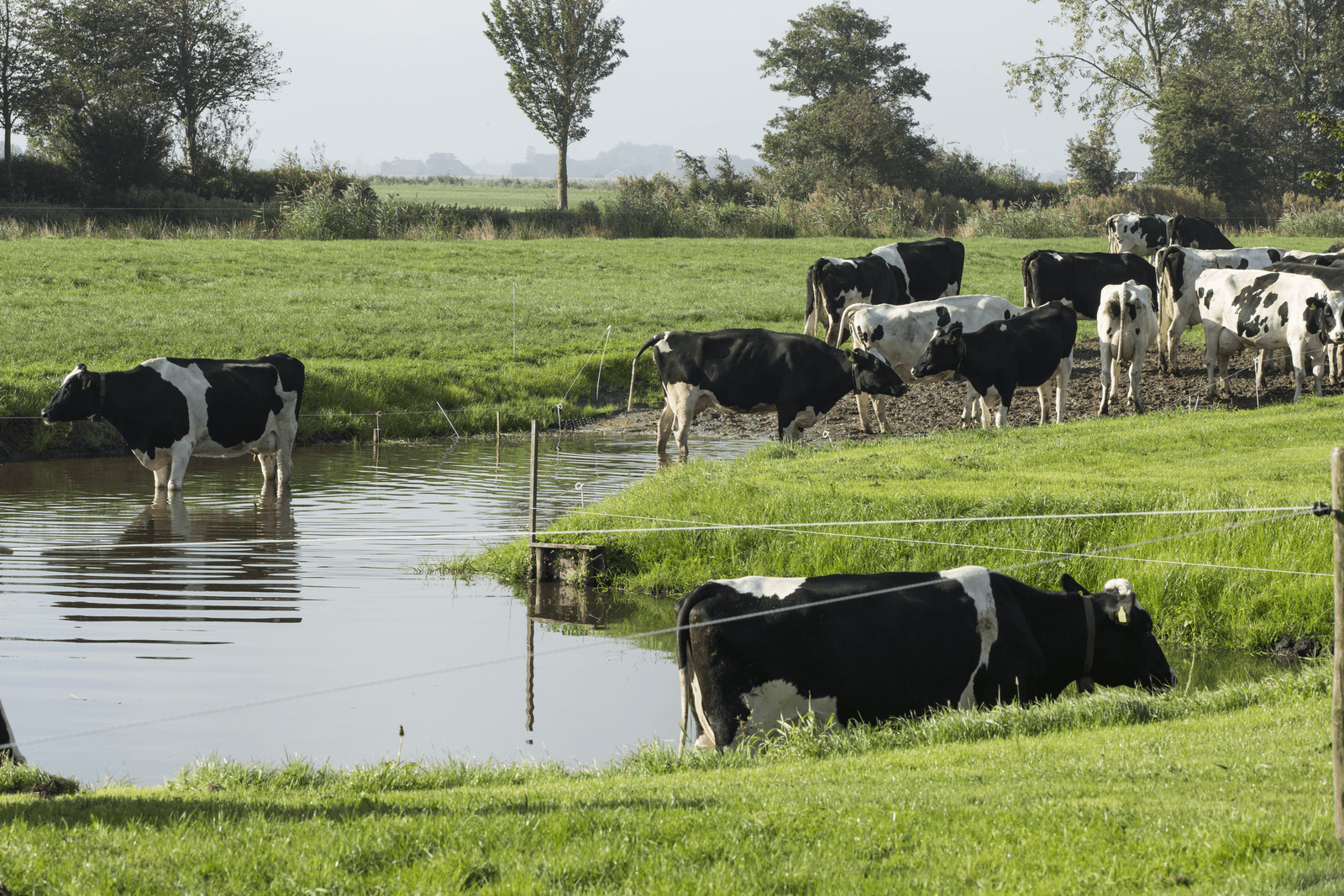 <em>Foto: Koos Groenewold</em>