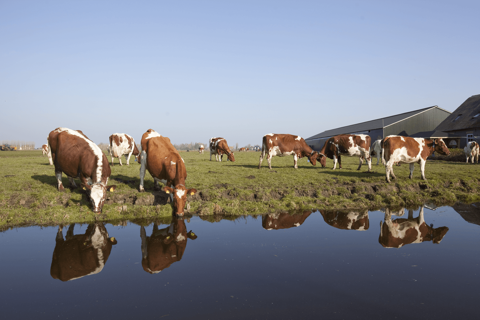 <em>Foto: Jan Willem Schouten</em>