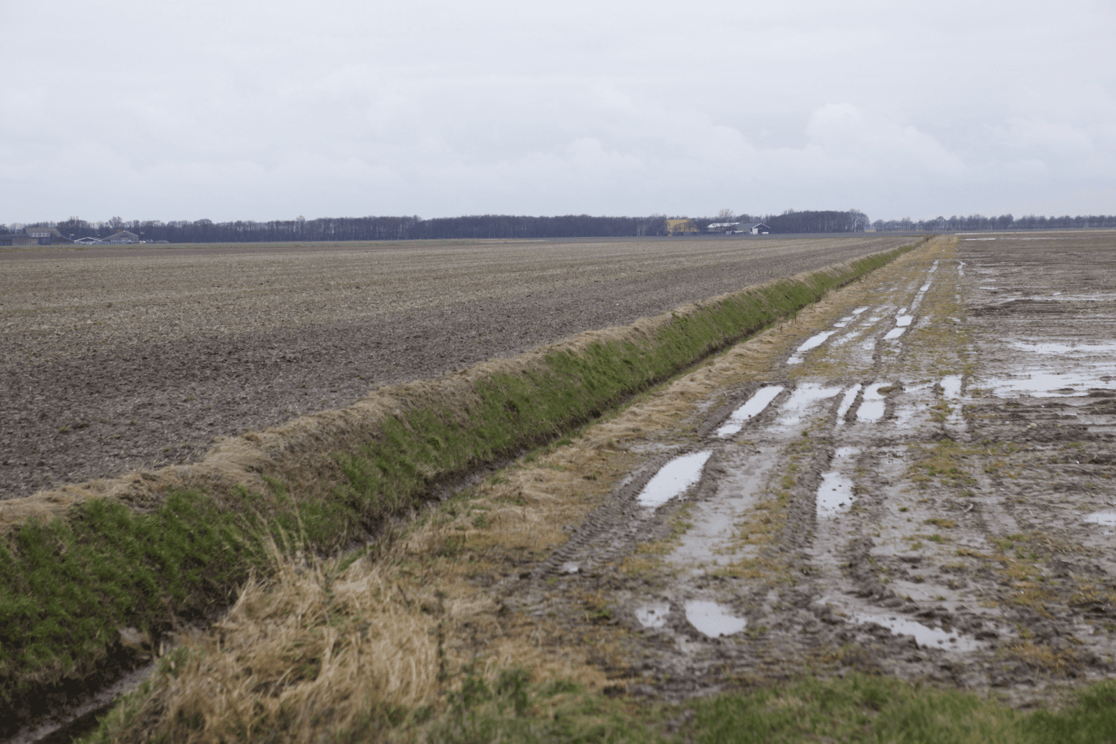 <em>Foto: Jan Willem Schouten</em>