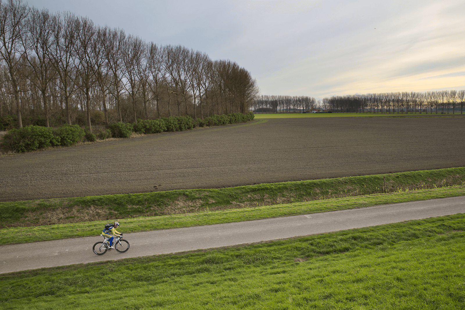 De Hertogin Hedwigepolder in Zeeuws-Vlaanderen.<em><br />Foto: ANP</em>