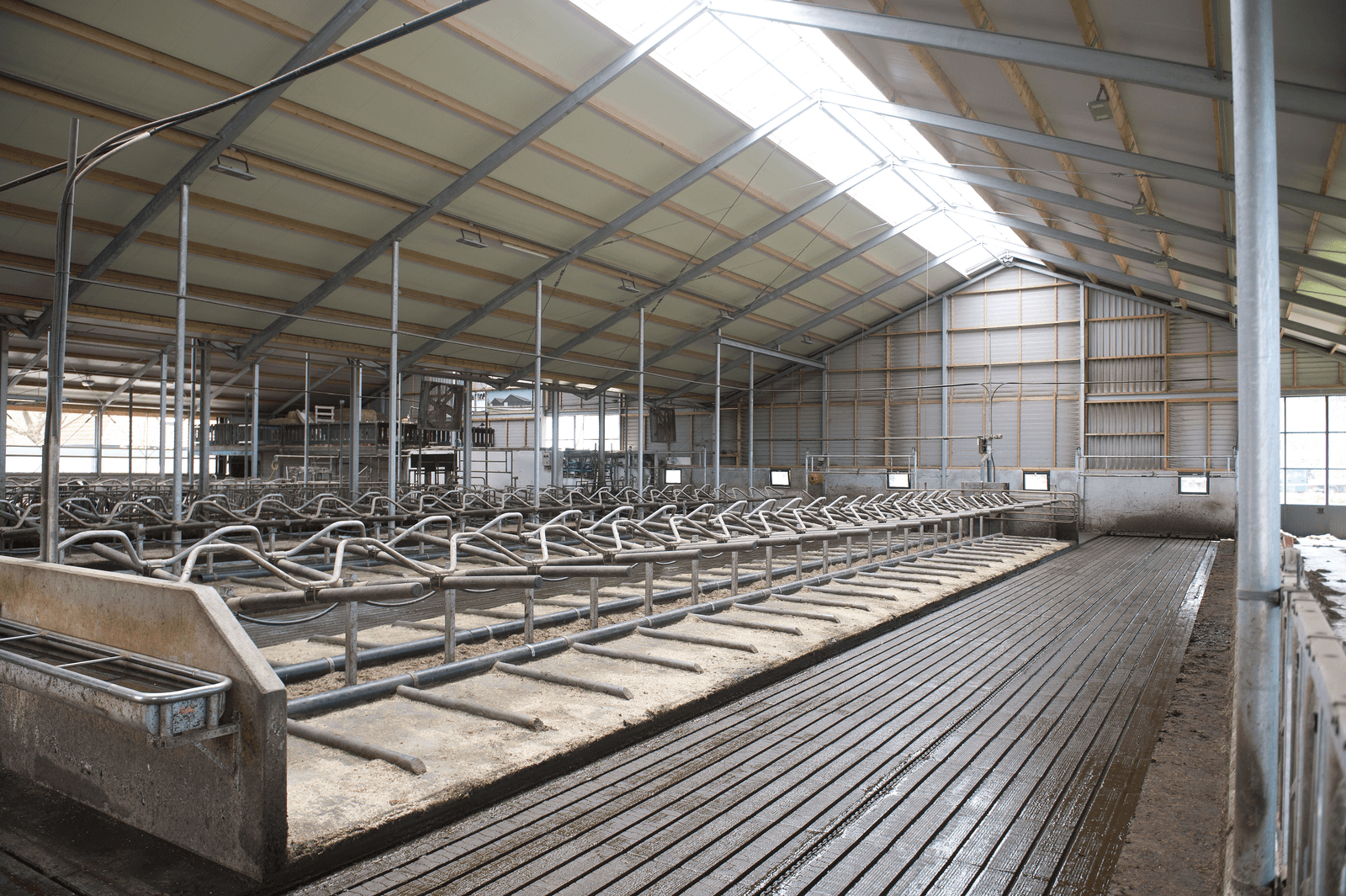 Looptijd van crowdfunding verschuift naar 7 of 8 jaar en de bedragen naar ¬ 400.000 of ¬ 500.000. Daarmee kan een boer de inrichting van een stal financieren.</p> <p><em>Foto: Mark Pasveer</em>