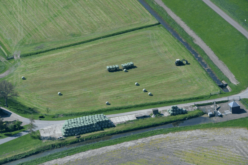 Veehouders druk met voederwinning