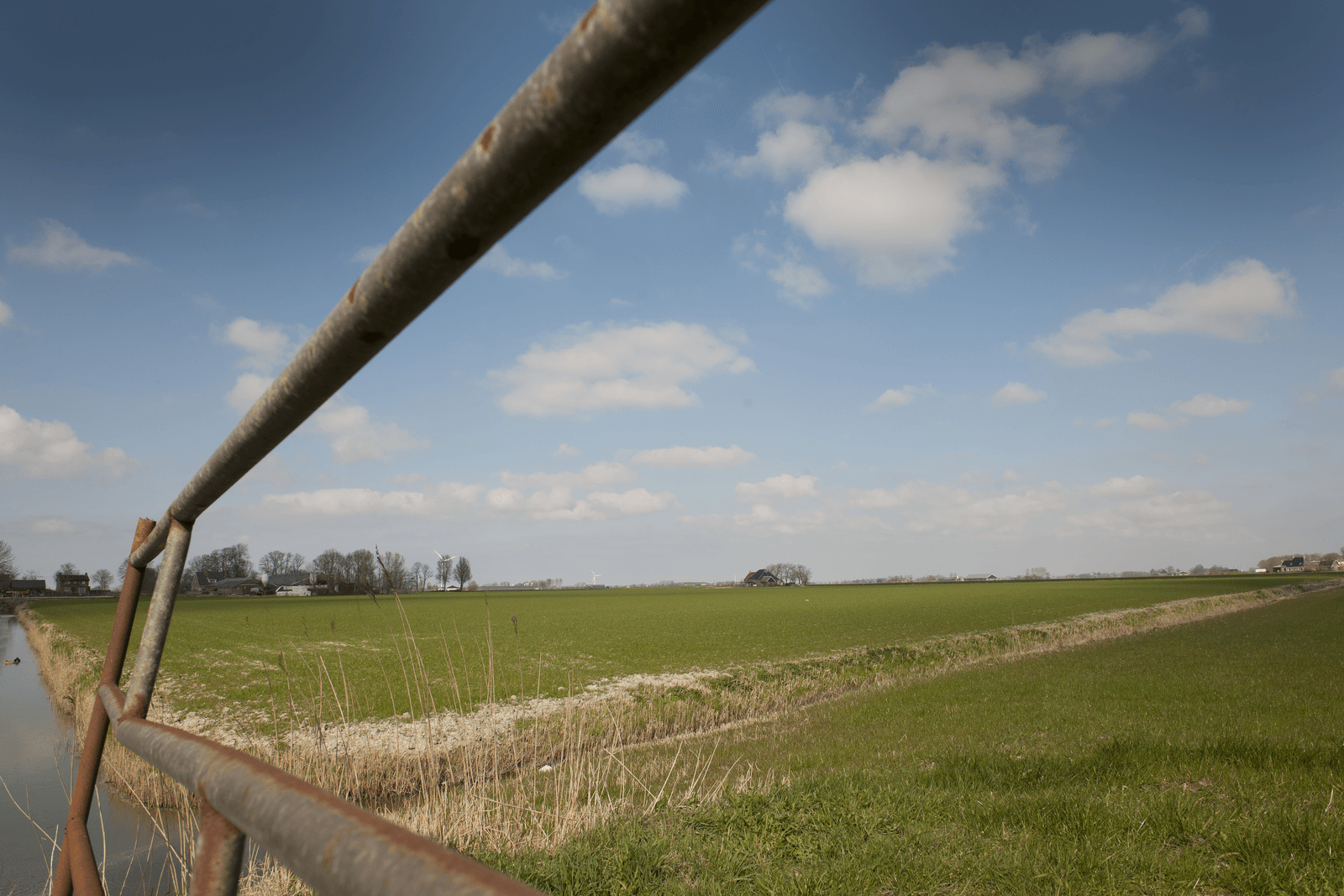 <em>Foto: Mark Pasveer</em>