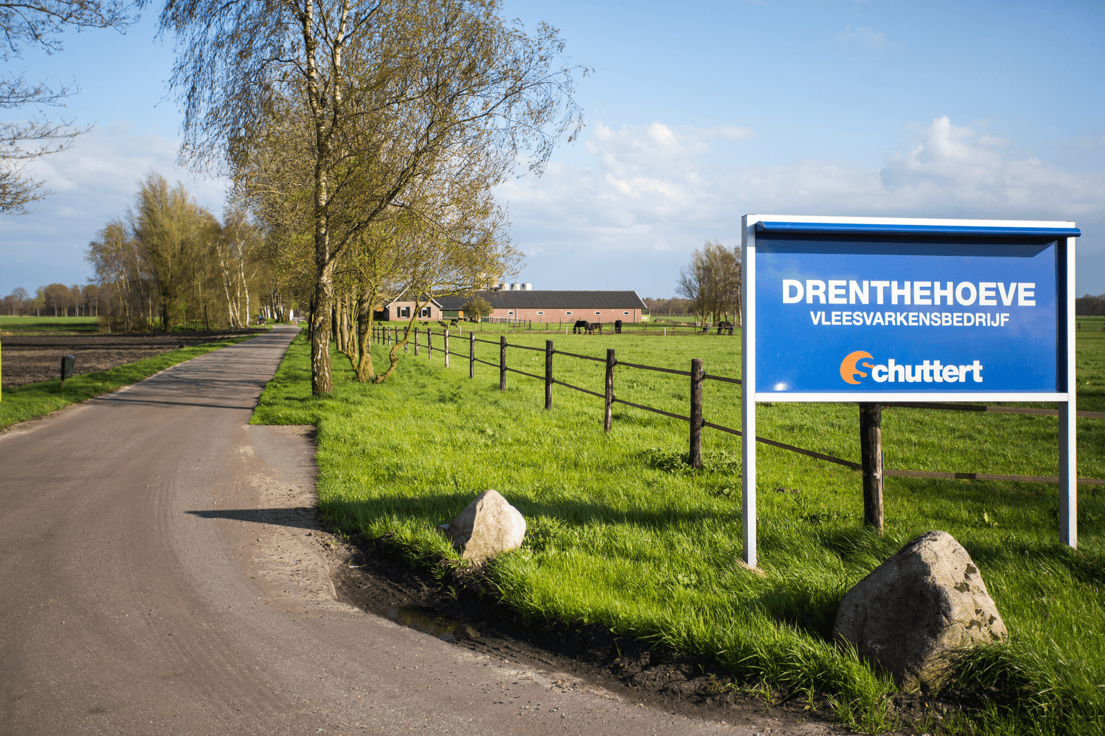 Handelshuis Schuttert in Ommen heeft op de vleesvarkenslocatie met 13.000 dieren in Geesbrug (Drenthe) een nieuwe stal voor 2.300 vleesvarkens in gebruik genomen. De gehele afbraak en opbouw duurde maar 22 weken.<br /><em>Foto's: Ronald Hissink</em>