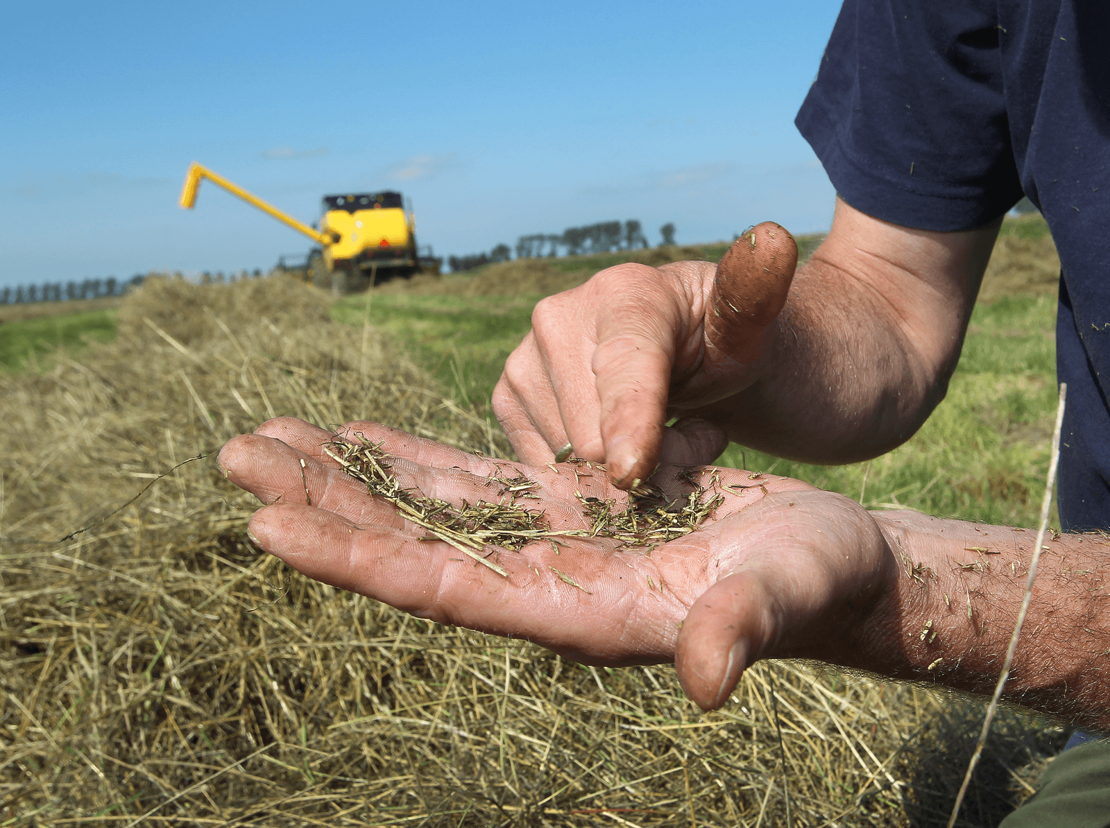 Het bedrijfsleven kan de verbinding leggen tussen wetenschappelijk onderzoek en de praktijk.</p> <p><em>Foto: Peter Roek</em>