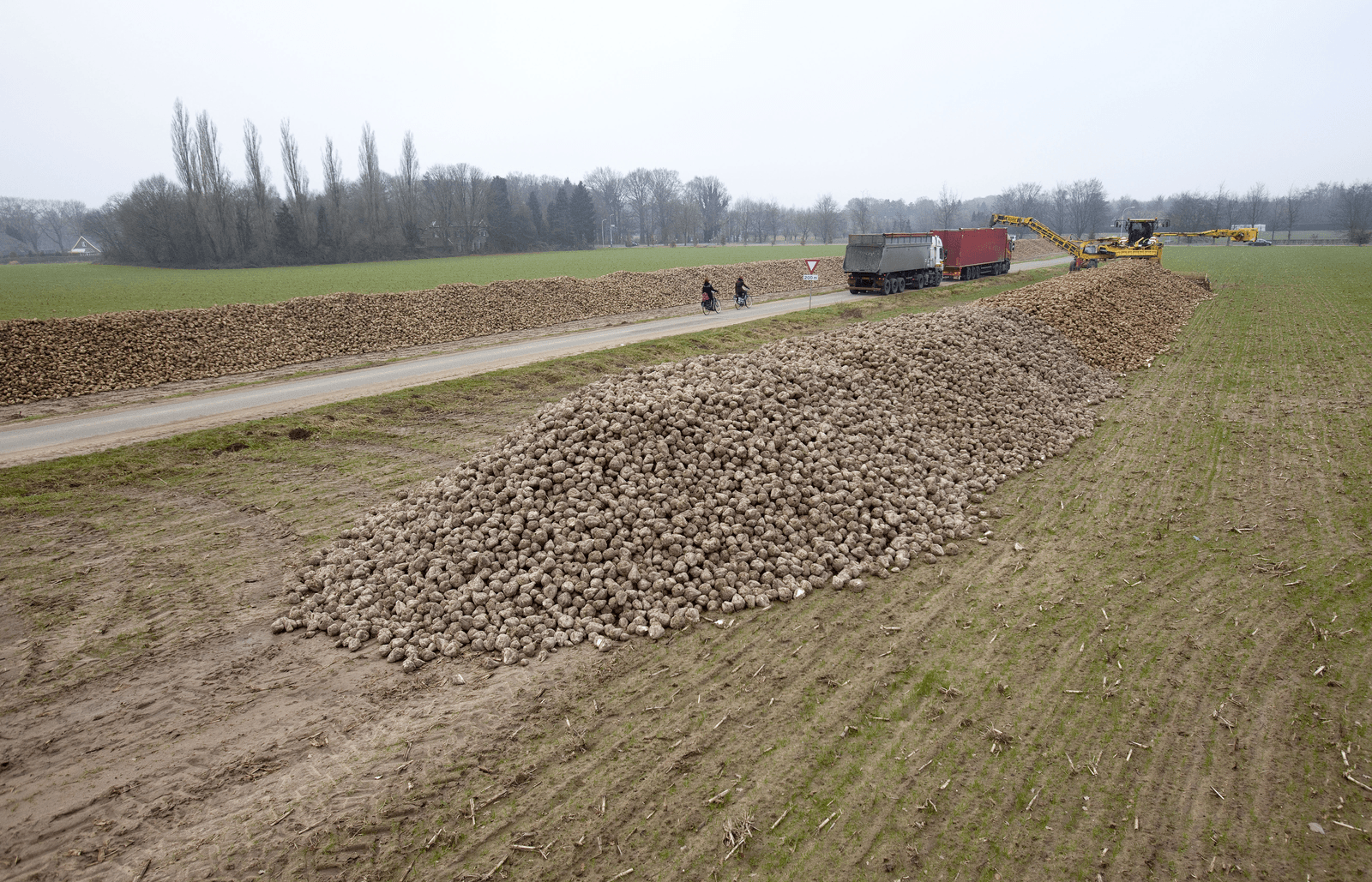 <em>Foto: Jan Willem Schouten</em>