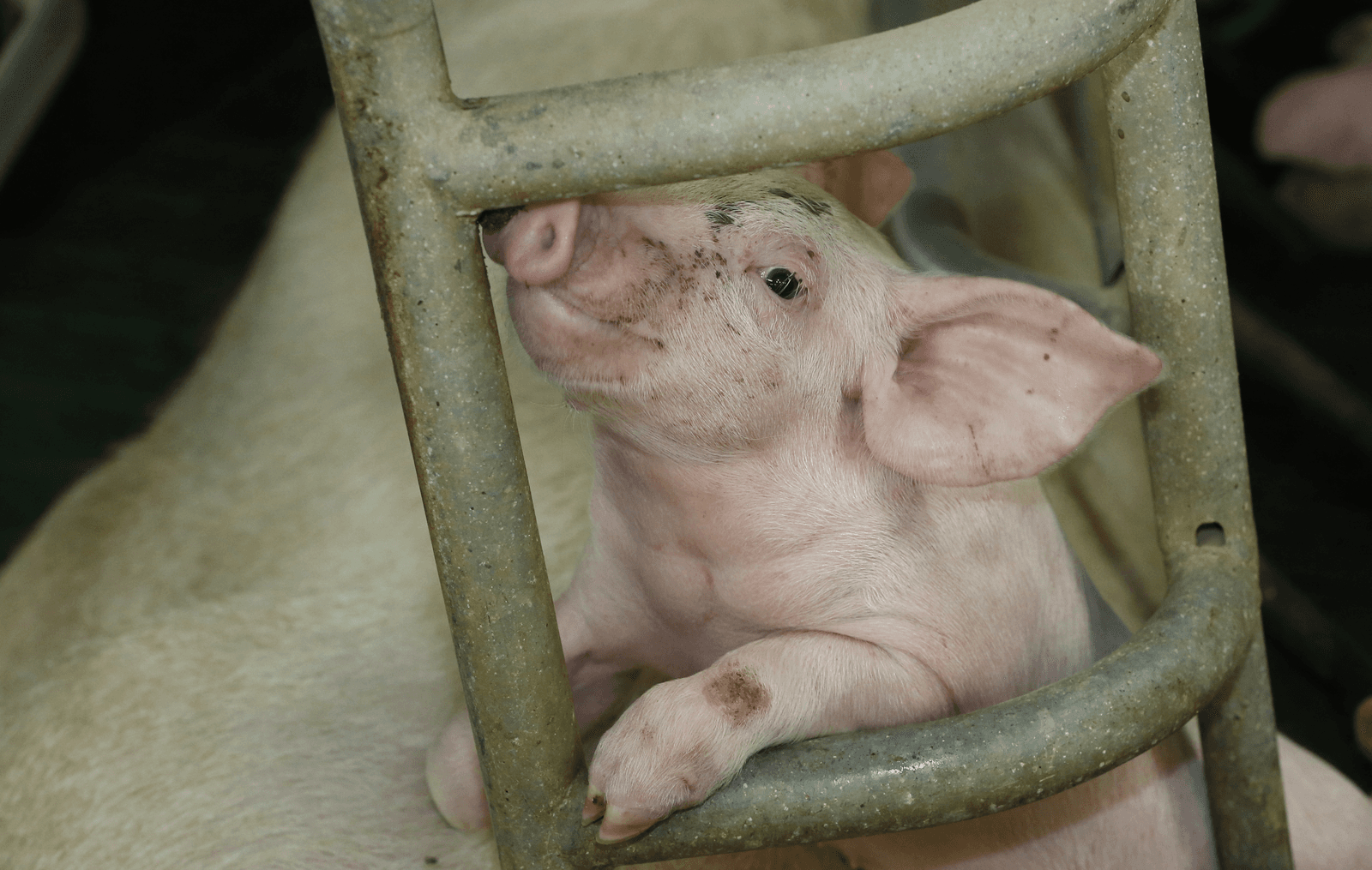 <em>Foto: Henk Riswick</em>