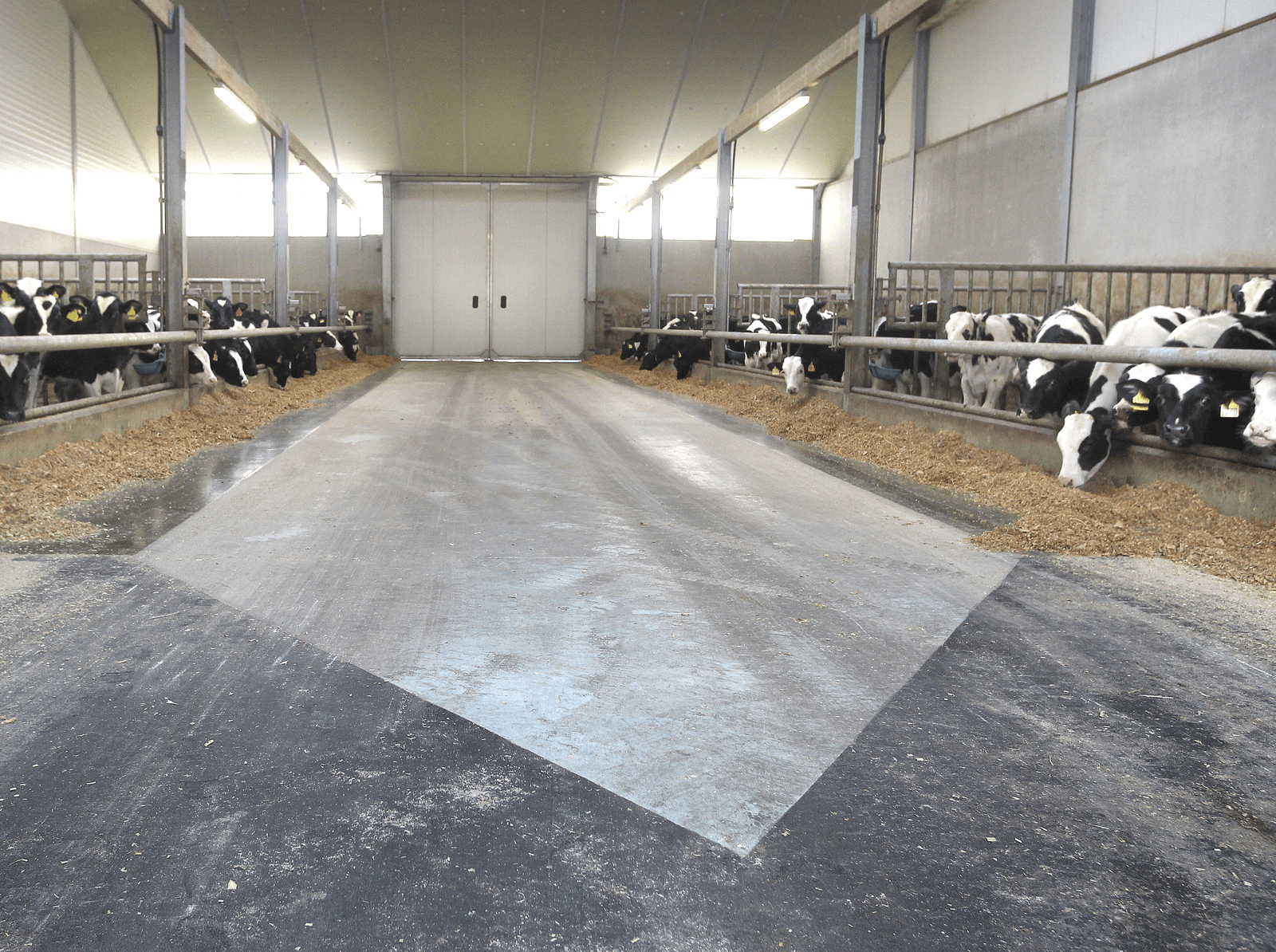 Verwarrend al die regels. Voor de Arbowet graag een ruwe vloer aanleggen, want minder snel uitglijden, en voor de hygiëne graag een gladde vloer.</p> <p><em>Foto: Peter Roek</em>