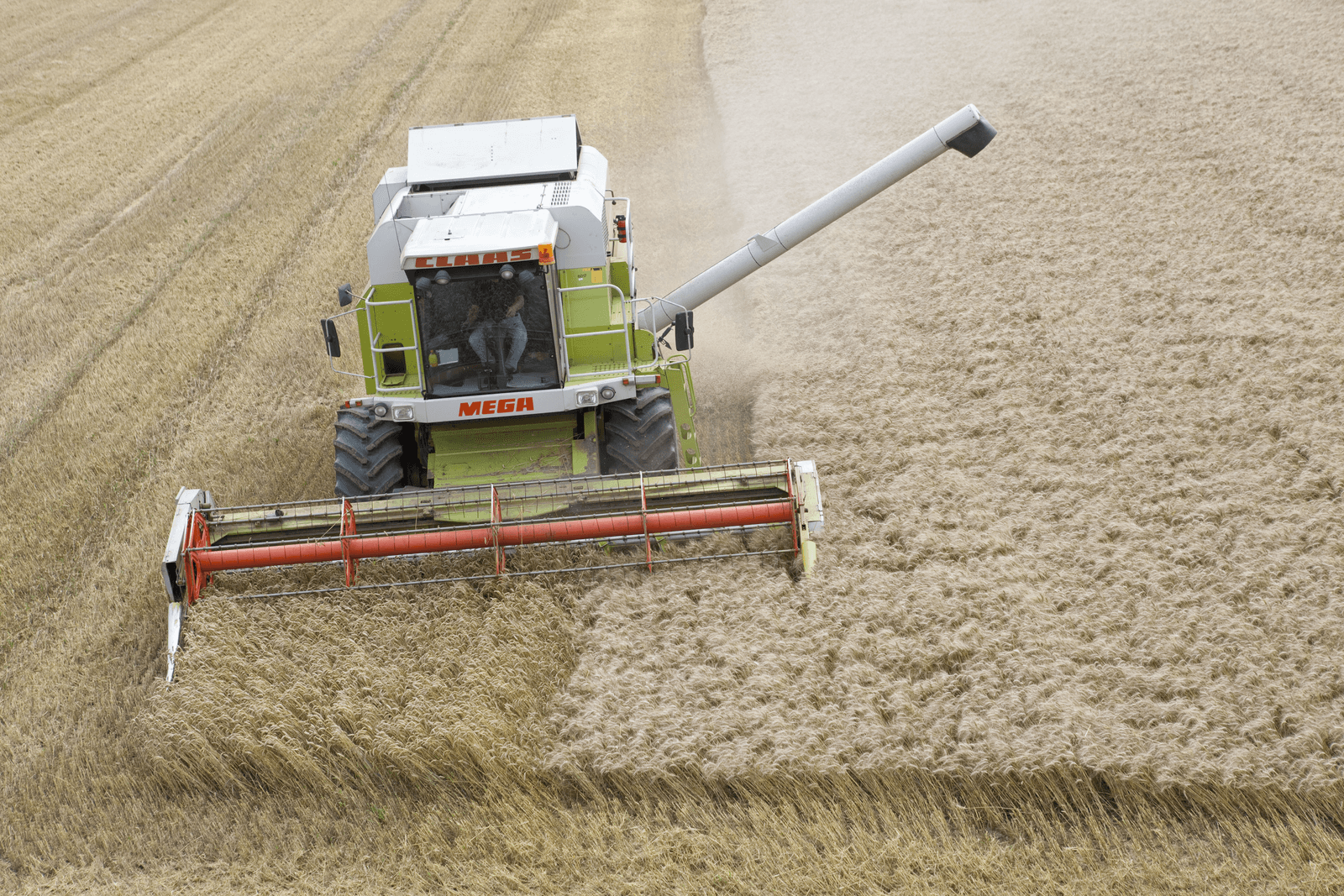 <em>Foto: Jan Willem Schouten</em>
