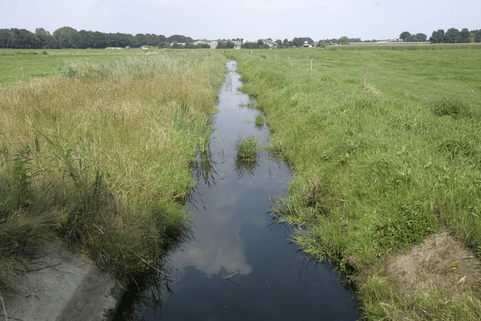 <em>Foto: Michel Zoeter</em>