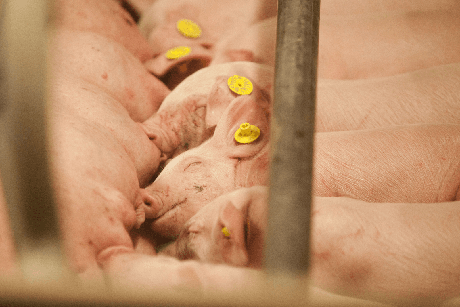 <em>Foto: Bart Nijs</em>