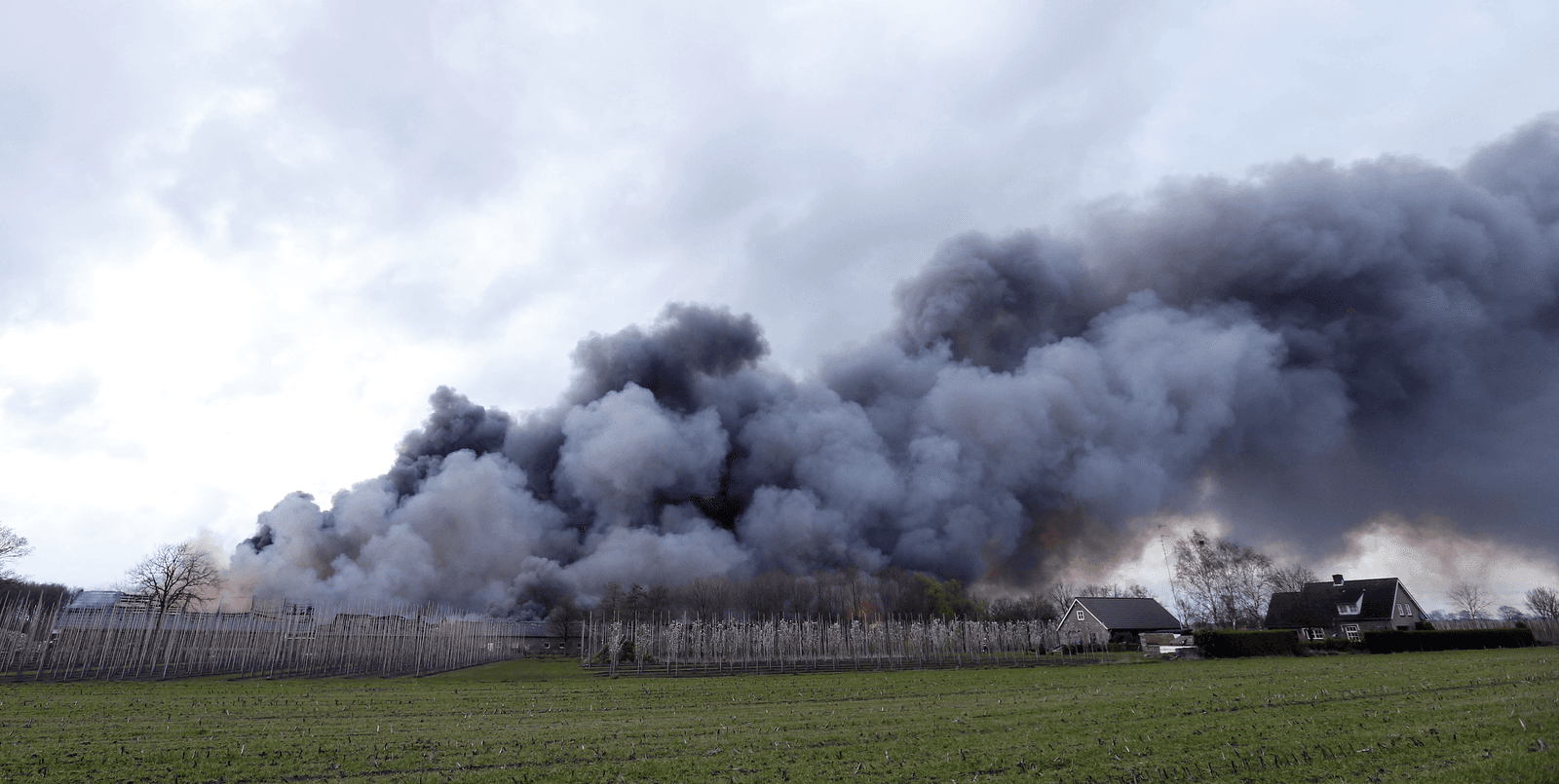<em>Foto: Bert Jansen</em>